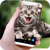 Funny Cat Walks On Screen - Cute Animation & Joke
