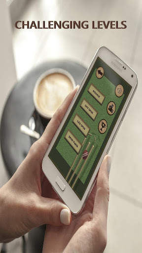 Bowled 3D - Cricket Game screenshot 7