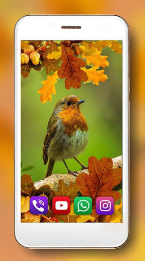 Autumn Birds Live Wallpaper screenshot 5