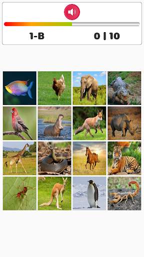 Animal Play скриншот 4