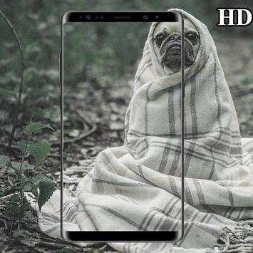 funny stories jokes 2018 screenshot 4