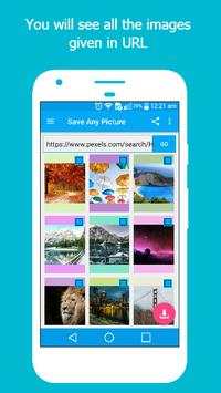 Save Any Picture screenshot 3
