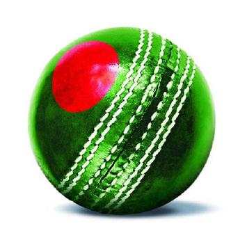 BCB Tiger Cricket screenshot 26