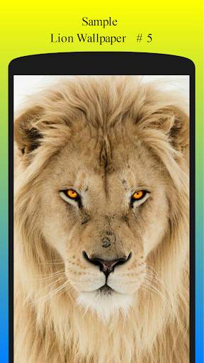 Lion Wallpaper HD Free screenshot 6