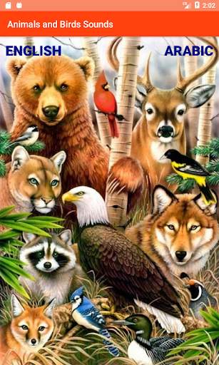 Animals & Birds Sound Effects screenshot 1