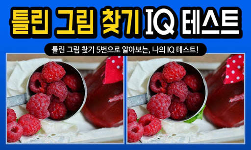 틀린그림찾기 IQ테스트 скриншот 5