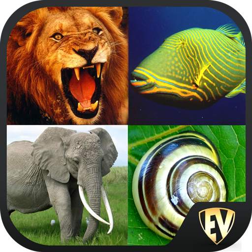 Animal Encyclopedia Complete Reference Guide Free 1.1.4