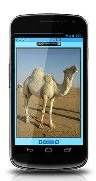 Learn Arabic Free For Kids screenshot 4