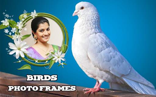 Birds Photo Frames скриншот 4
