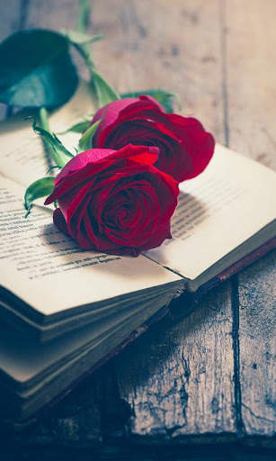Rose Wallpapers screenshot 5