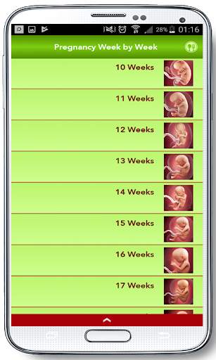 Pregnancy Week by Week 2019 screenshot 4