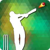 Cricket Net Run Rate Calculate 1.0