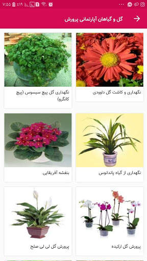 گل و گیاهان اپارتمانی   پرورش و نگهداری screenshot 6