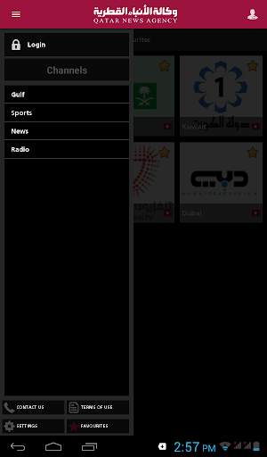 QNA TV screenshot 9