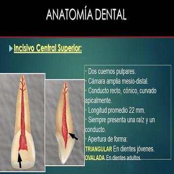Anatomia Dental- Endodoncia скриншот 1