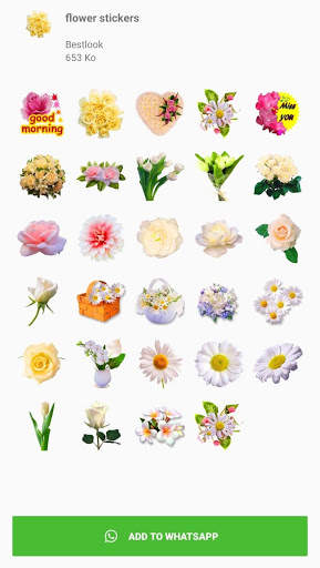 Flowers and roses stickers - WAStickerApps screenshot 4