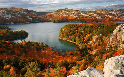 Autumn Wallpapers | hd backgrounds screenshot 19