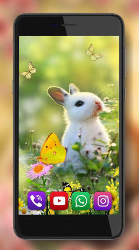 Bunny Funny HD Live Wallpaper screenshot 4