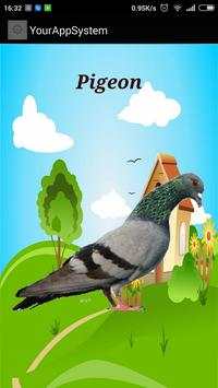 Birds Sounds Original For Kids screenshot 5
