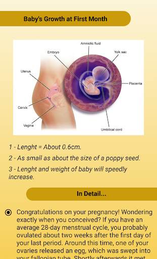 Maternity Ward screenshot 3