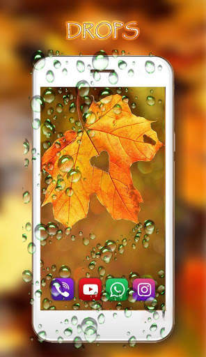 Autumn Rain live wallpaper screenshot 5