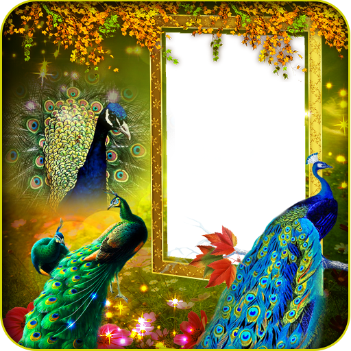 Peacock Insta DP Maker أيقونة