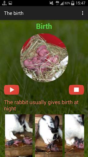 Rabbit breeding screenshot 6