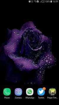 HD Background Flower Wallpaper screenshot 16