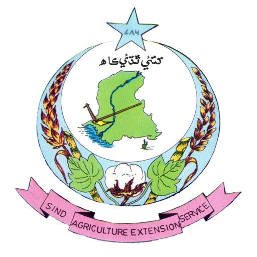 ICT Agriculture Extension Sindh Reporting 2.28
