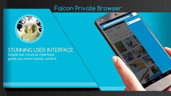 Falcon Private Browser screenshot 5