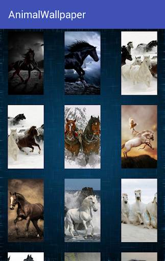 Animal Wallpaper screenshot 13