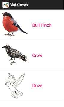 How to draw bird screenshot 3