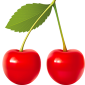 Fruit Memory icon