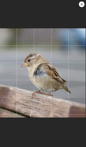 Drawing Grid 5 تصوير الشاشة