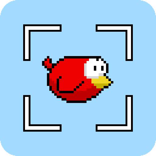 Hunty Birds 1.1