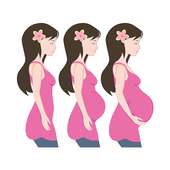 My Baby Bod – chụp và ghép ảnh quá trình mang thai on 9Apps