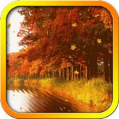 Autumn Lake Live Wallpaper 1.0