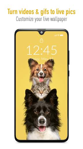 TurnLive - Live Wallpaper App screenshot 3