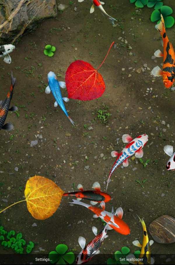 Koi Special Free Live Wallpaper screenshot 3