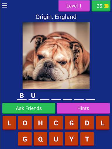 Dog Breed Quiz Game (Dog Game) screenshot 11