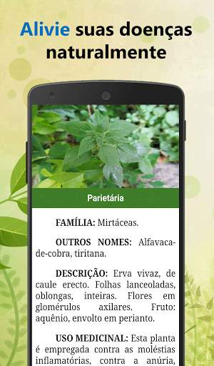 Plantas Medicinais e seus usos screenshot 3