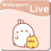 Molang Cute Bunny Live Wallpapers HD Kawaii icon