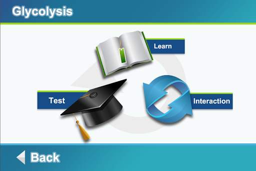 Biology Cellular Respiration screenshot 2