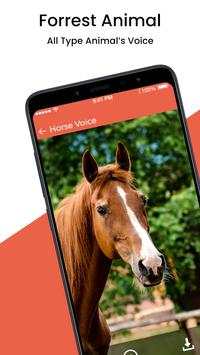 Animal Sound Ringtone screenshot 5