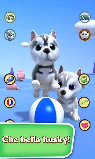 Talking Dog Husky screenshot 4