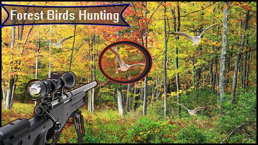 Forest 3D Birds Hunting - Sniper Shooting screenshot 2