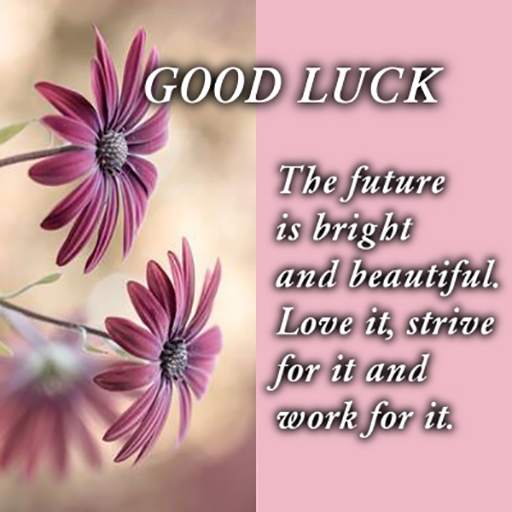 Good Luck Wishes 1.11