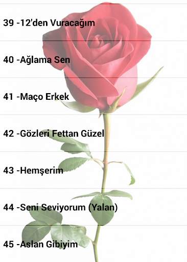 Mahsun Kırmızıgül Şarkıları İnternetsiz скриншот 3