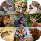 Animal Sounds icon