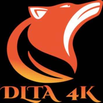 DLTA 4K Lite screenshot 1